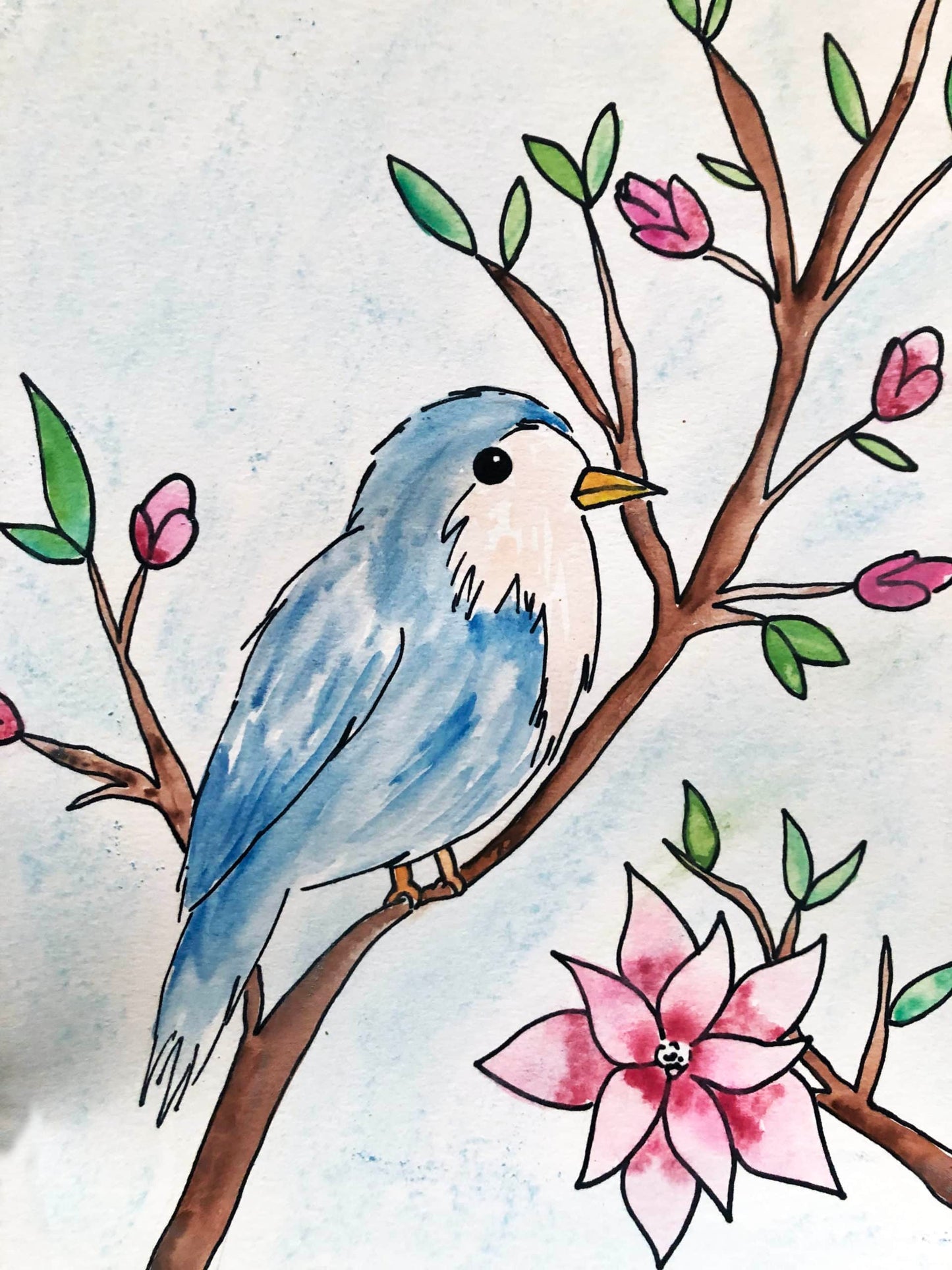 Spring Bird L2
