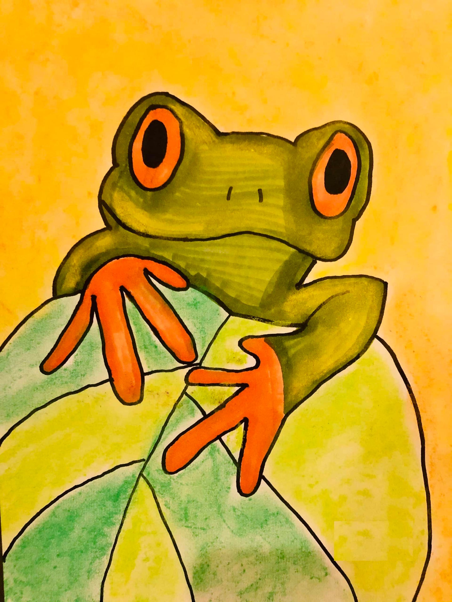Rainforest Frog L1