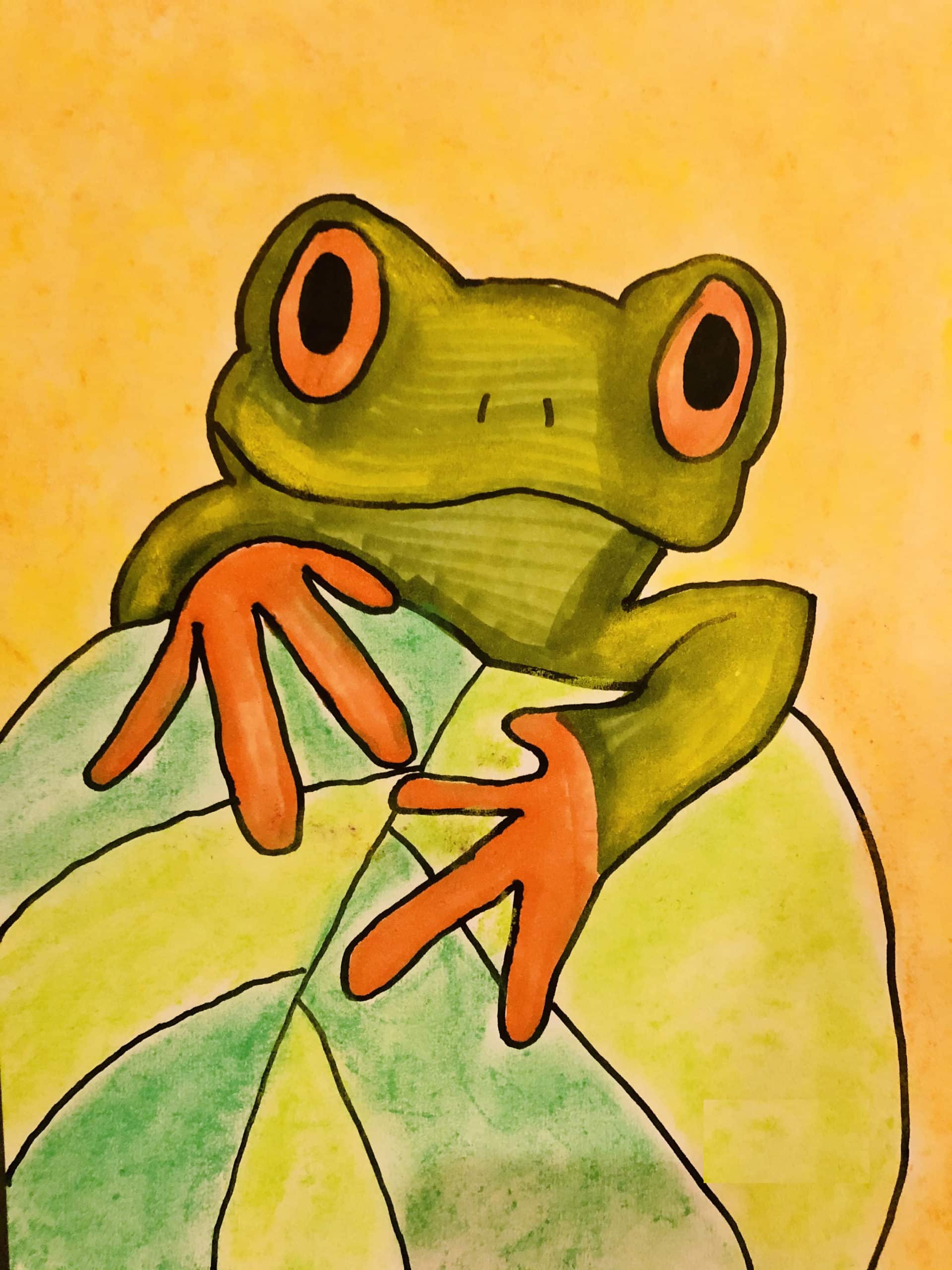 Rainforest Frog L1