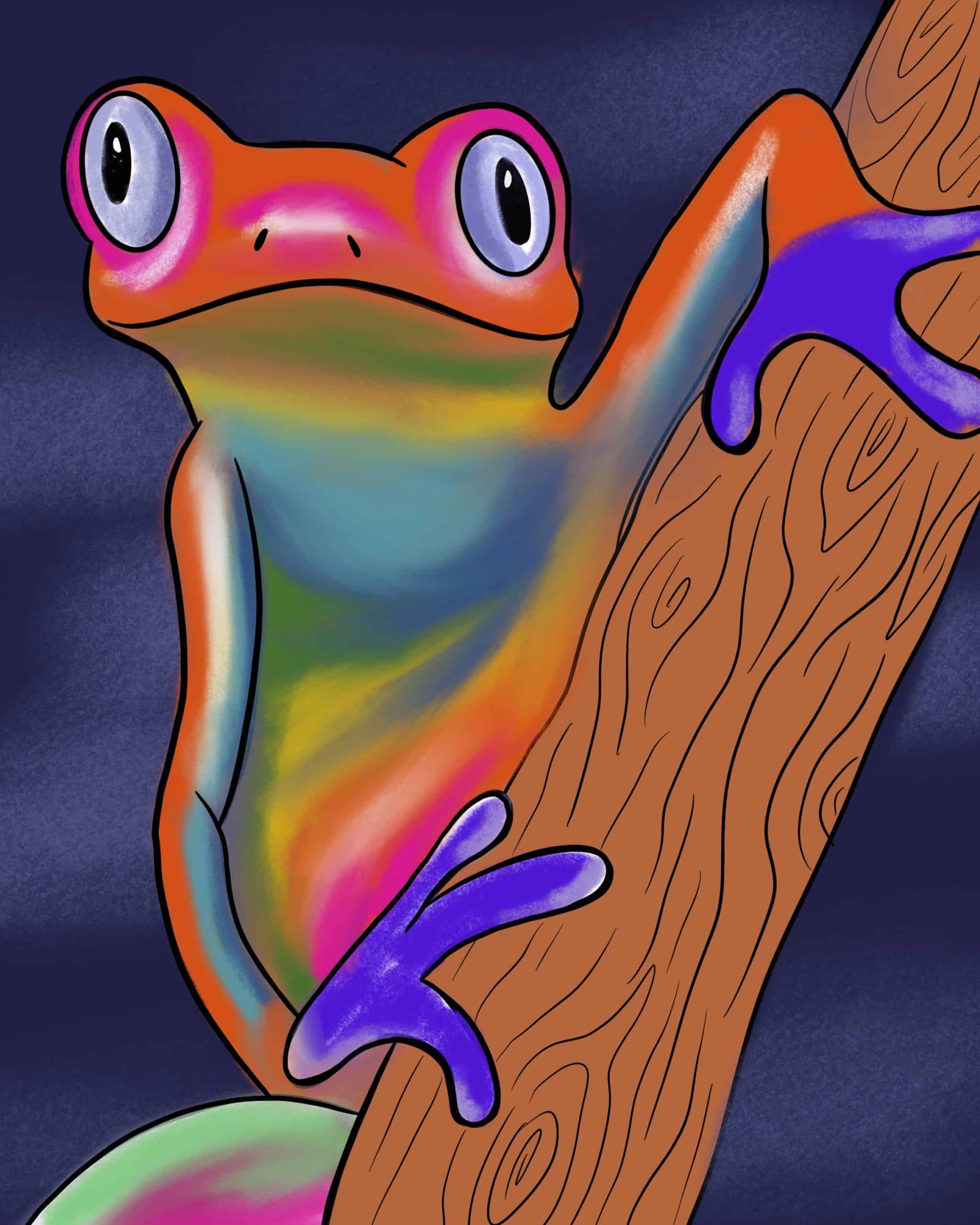 Rainbow Treefrog L2