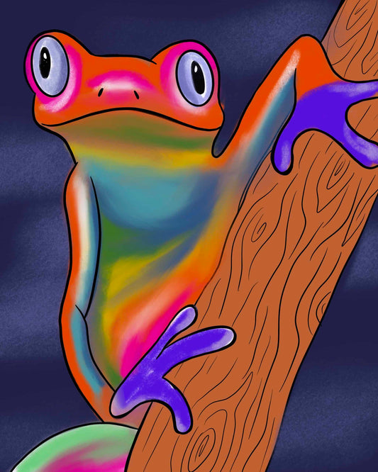 Rainbow Treefrog L2