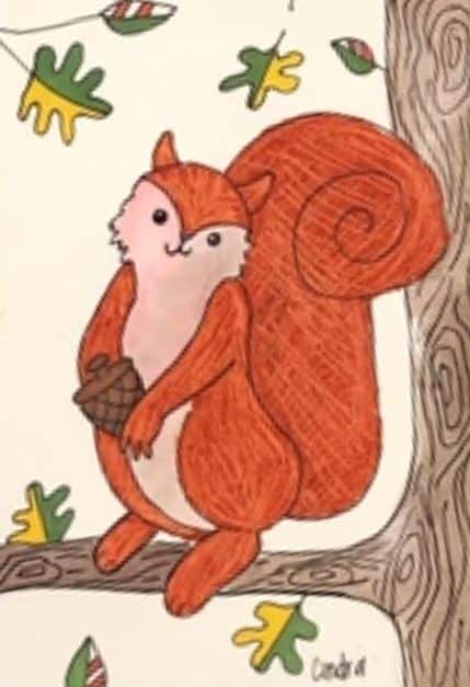 Textured Squirrel L2